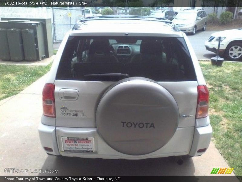 Natural White / Gray 2002 Toyota RAV4 4WD