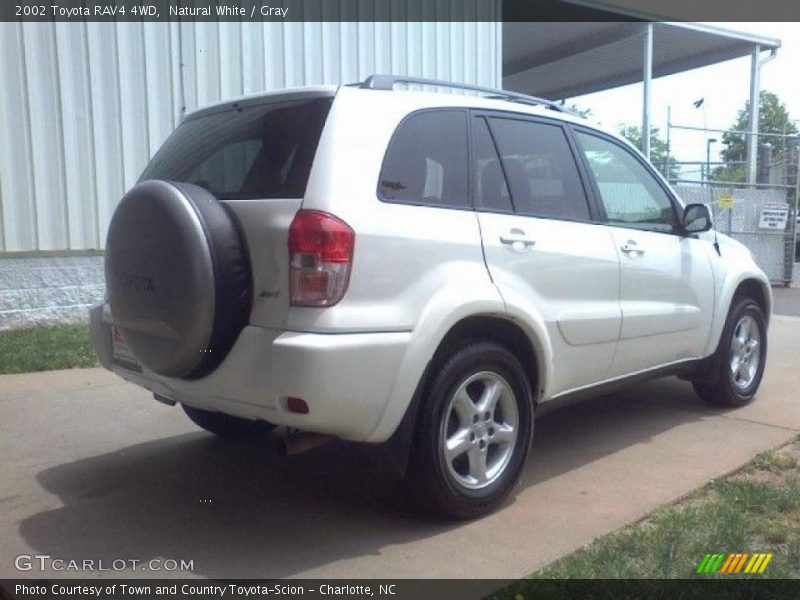 Natural White / Gray 2002 Toyota RAV4 4WD