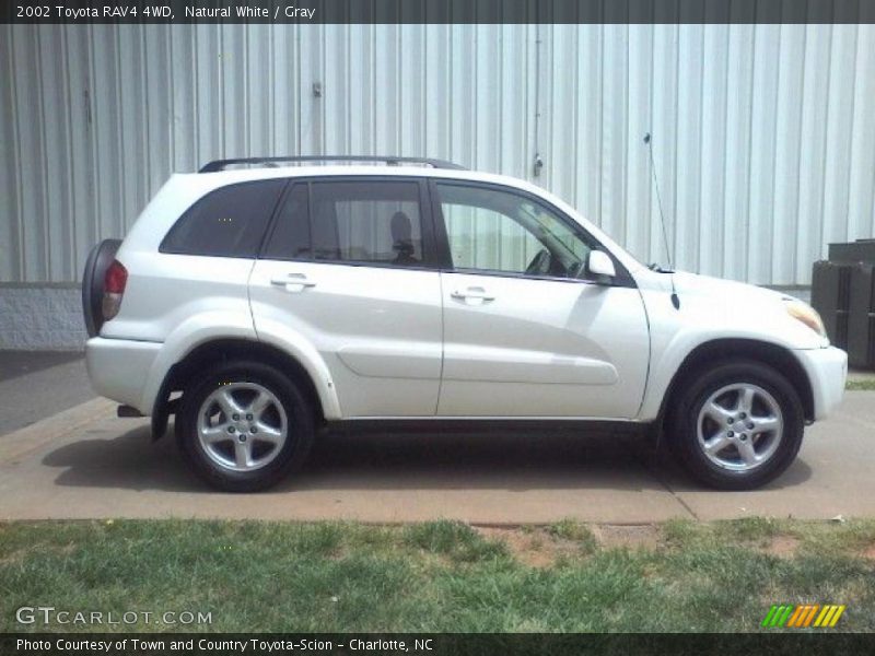 Natural White / Gray 2002 Toyota RAV4 4WD