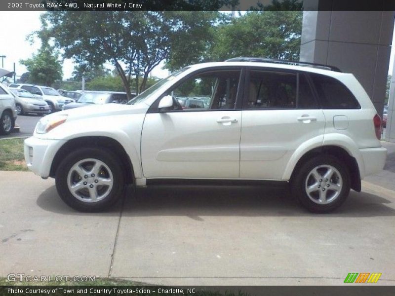 Natural White / Gray 2002 Toyota RAV4 4WD