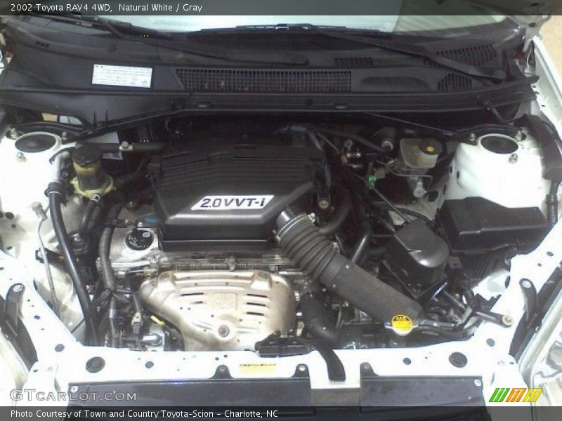 Natural White / Gray 2002 Toyota RAV4 4WD