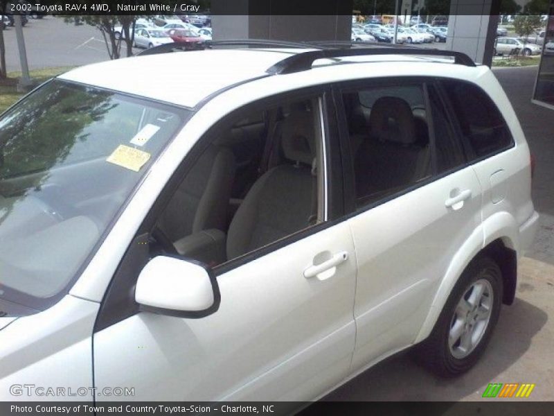 Natural White / Gray 2002 Toyota RAV4 4WD