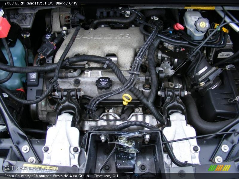 Black / Gray 2003 Buick Rendezvous CX