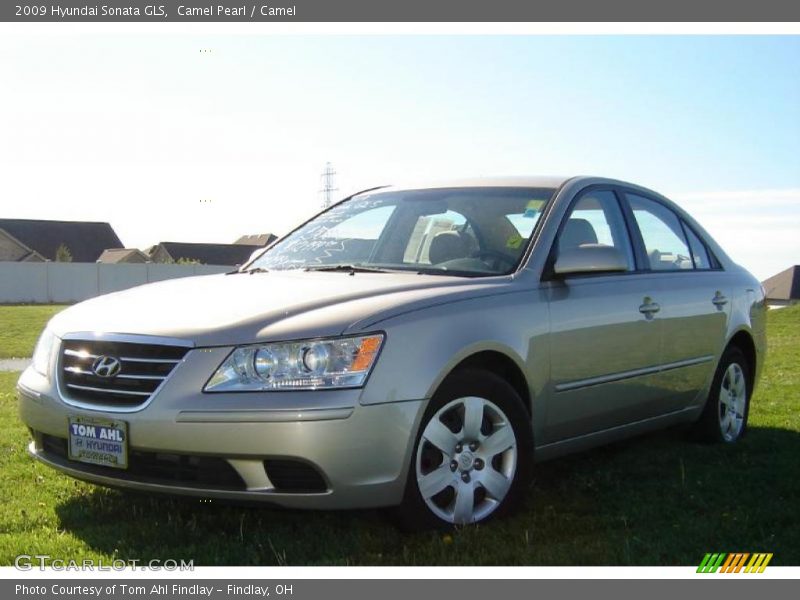 Camel Pearl / Camel 2009 Hyundai Sonata GLS