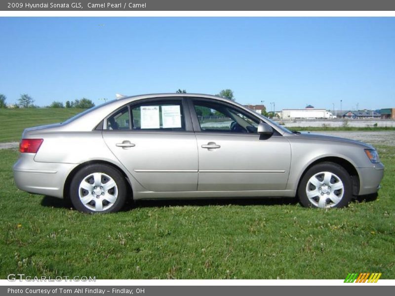 Camel Pearl / Camel 2009 Hyundai Sonata GLS