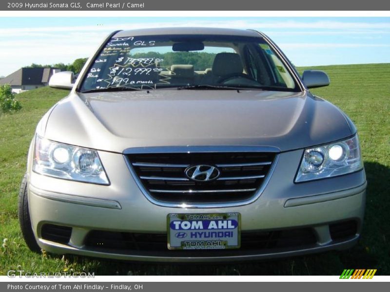 Camel Pearl / Camel 2009 Hyundai Sonata GLS