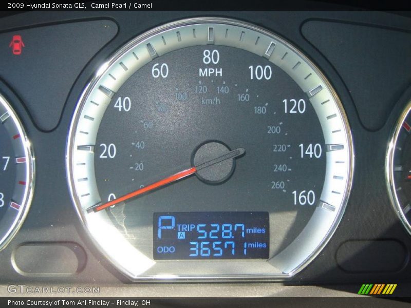 Camel Pearl / Camel 2009 Hyundai Sonata GLS