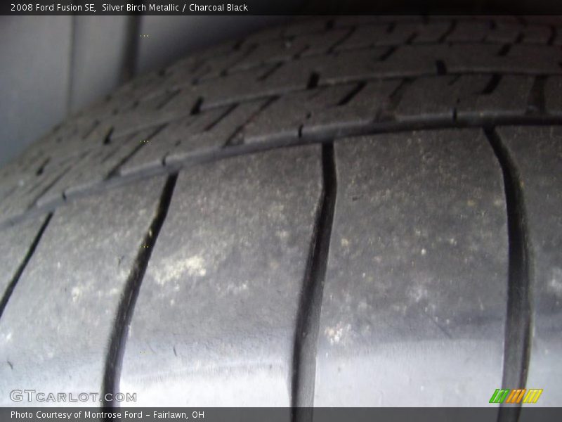 Silver Birch Metallic / Charcoal Black 2008 Ford Fusion SE