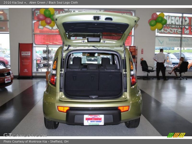Alien Green / Black Soul Logo Cloth 2010 Kia Soul +