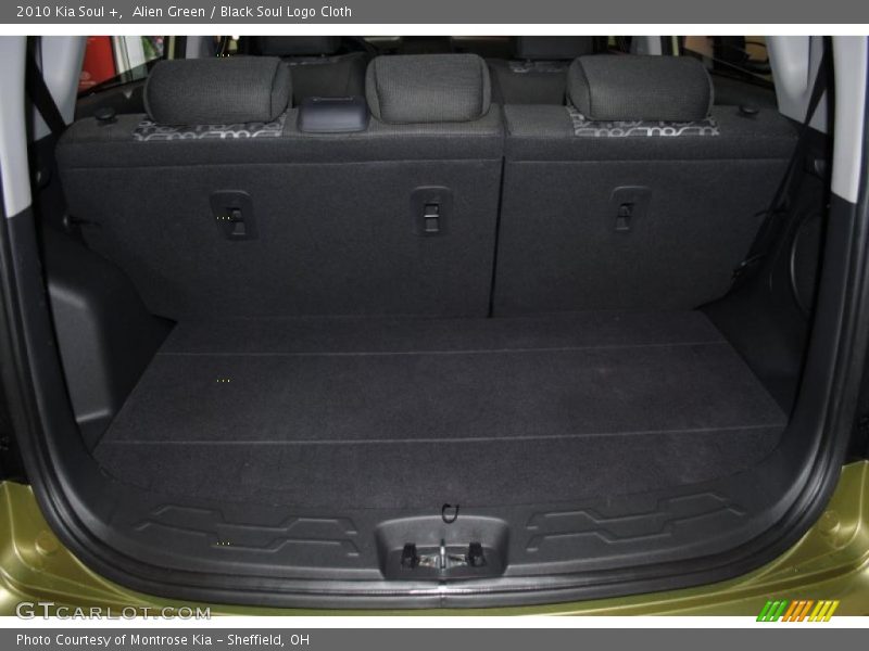 Alien Green / Black Soul Logo Cloth 2010 Kia Soul +