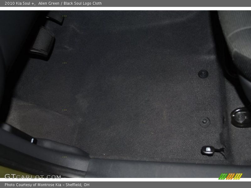 Alien Green / Black Soul Logo Cloth 2010 Kia Soul +