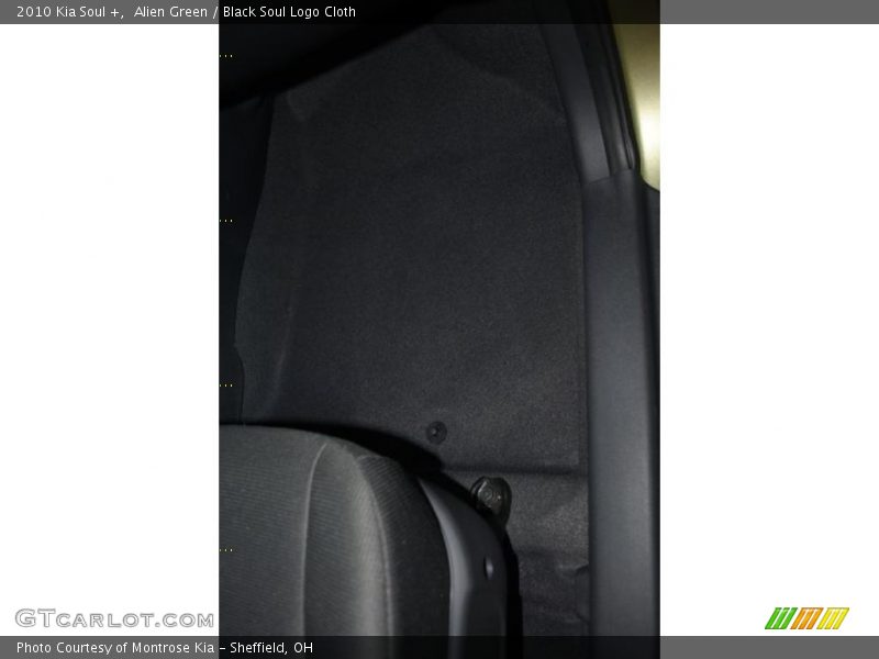 Alien Green / Black Soul Logo Cloth 2010 Kia Soul +