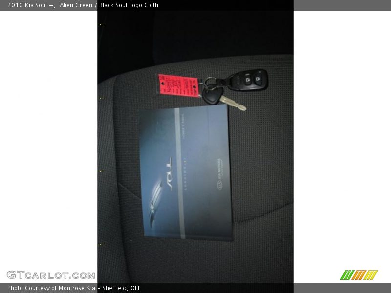 Alien Green / Black Soul Logo Cloth 2010 Kia Soul +