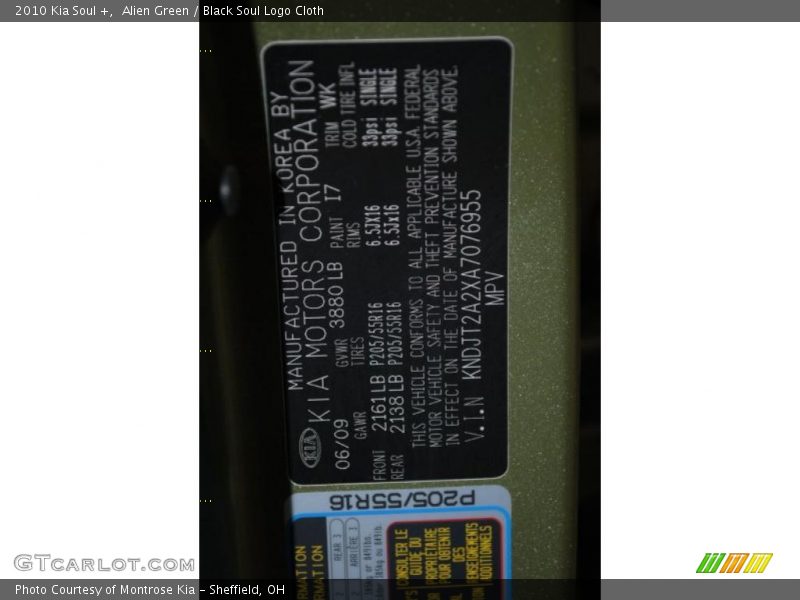 Alien Green / Black Soul Logo Cloth 2010 Kia Soul +