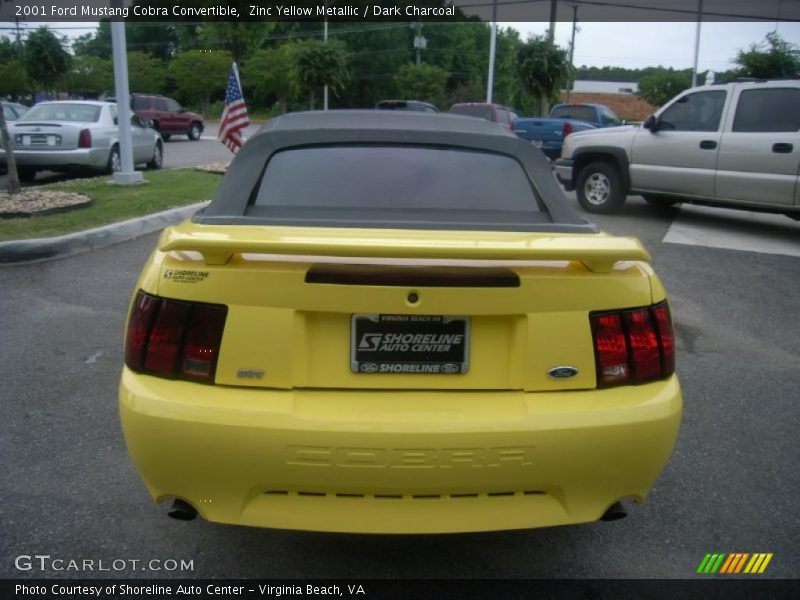 Zinc Yellow Metallic / Dark Charcoal 2001 Ford Mustang Cobra Convertible