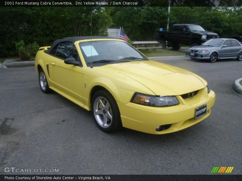 Zinc Yellow Metallic / Dark Charcoal 2001 Ford Mustang Cobra Convertible