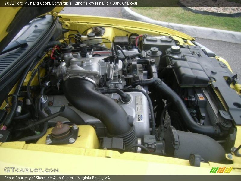 Zinc Yellow Metallic / Dark Charcoal 2001 Ford Mustang Cobra Convertible