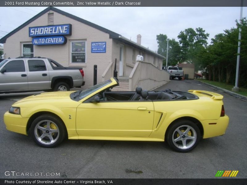 Zinc Yellow Metallic / Dark Charcoal 2001 Ford Mustang Cobra Convertible