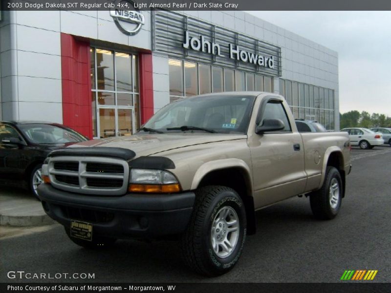 Light Almond Pearl / Dark Slate Gray 2003 Dodge Dakota SXT Regular Cab 4x4