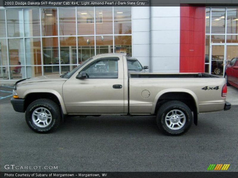 Light Almond Pearl / Dark Slate Gray 2003 Dodge Dakota SXT Regular Cab 4x4