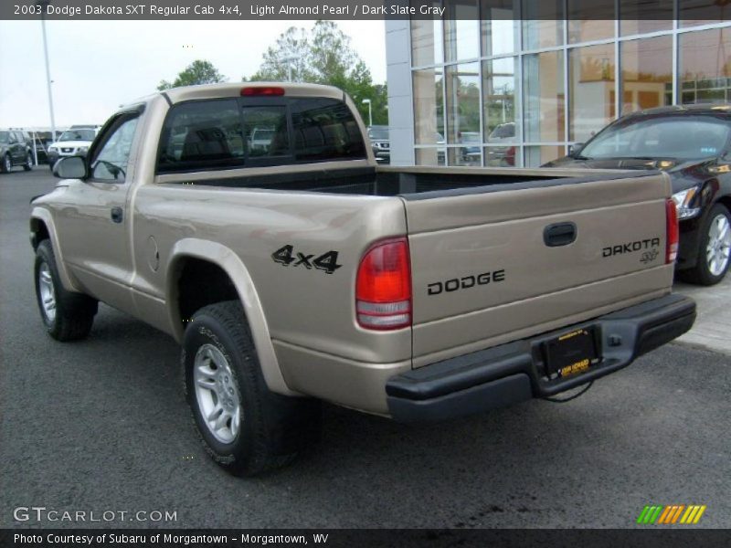 Light Almond Pearl / Dark Slate Gray 2003 Dodge Dakota SXT Regular Cab 4x4