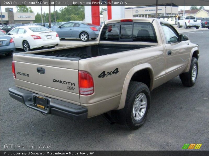 Light Almond Pearl / Dark Slate Gray 2003 Dodge Dakota SXT Regular Cab 4x4