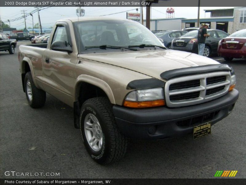 Light Almond Pearl / Dark Slate Gray 2003 Dodge Dakota SXT Regular Cab 4x4