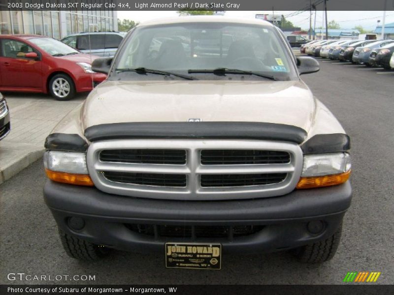 Light Almond Pearl / Dark Slate Gray 2003 Dodge Dakota SXT Regular Cab 4x4