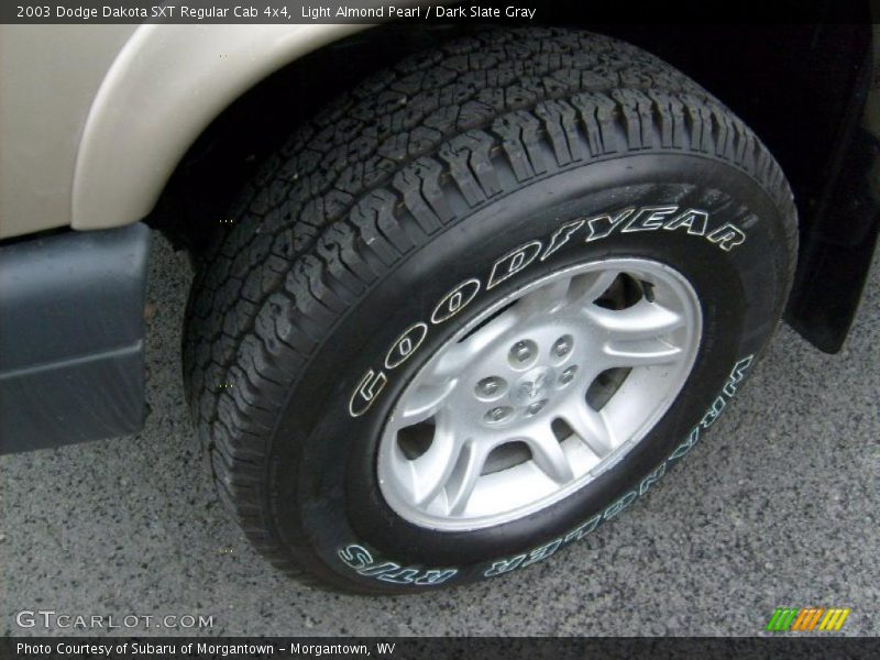 Light Almond Pearl / Dark Slate Gray 2003 Dodge Dakota SXT Regular Cab 4x4