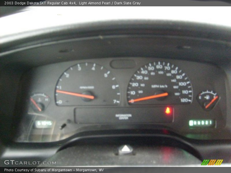 Light Almond Pearl / Dark Slate Gray 2003 Dodge Dakota SXT Regular Cab 4x4