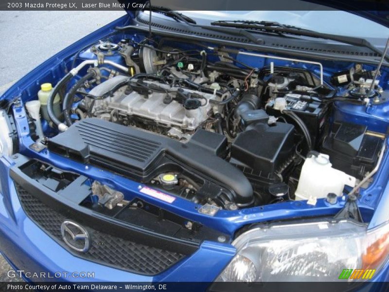 Laser Blue Mica / Gray 2003 Mazda Protege LX