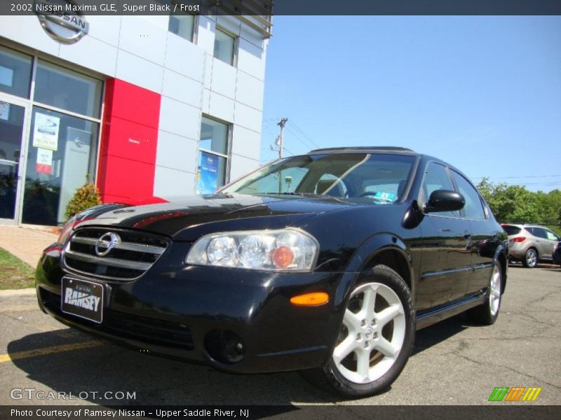 Super Black / Frost 2002 Nissan Maxima GLE