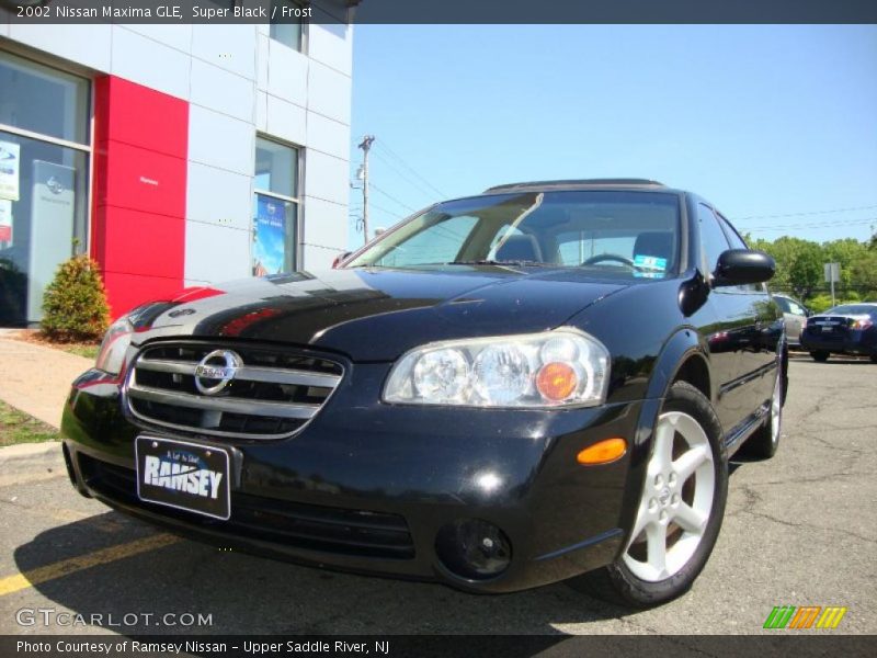 Super Black / Frost 2002 Nissan Maxima GLE