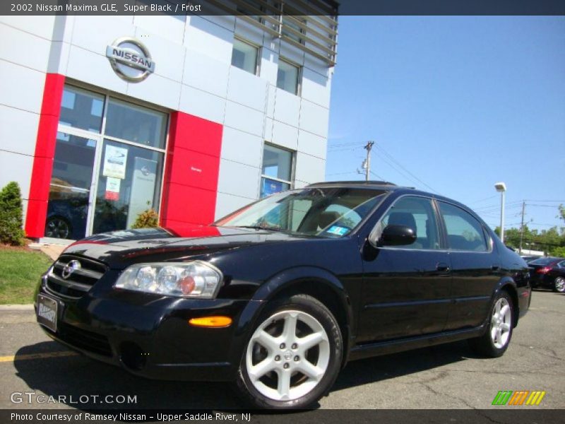 Super Black / Frost 2002 Nissan Maxima GLE