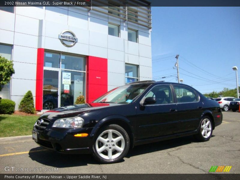Super Black / Frost 2002 Nissan Maxima GLE