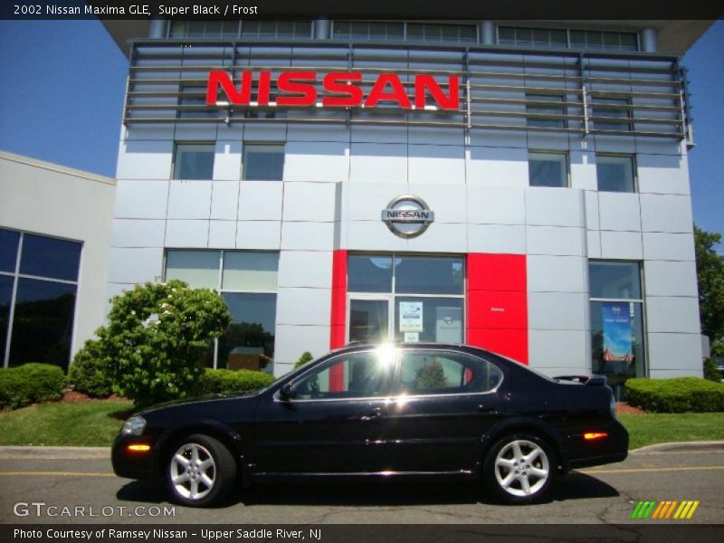 Super Black / Frost 2002 Nissan Maxima GLE