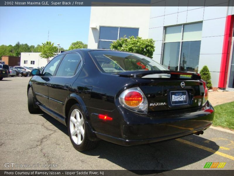 Super Black / Frost 2002 Nissan Maxima GLE