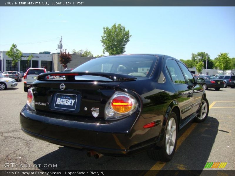 Super Black / Frost 2002 Nissan Maxima GLE