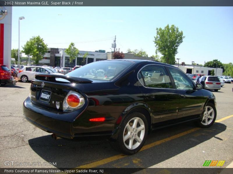 Super Black / Frost 2002 Nissan Maxima GLE