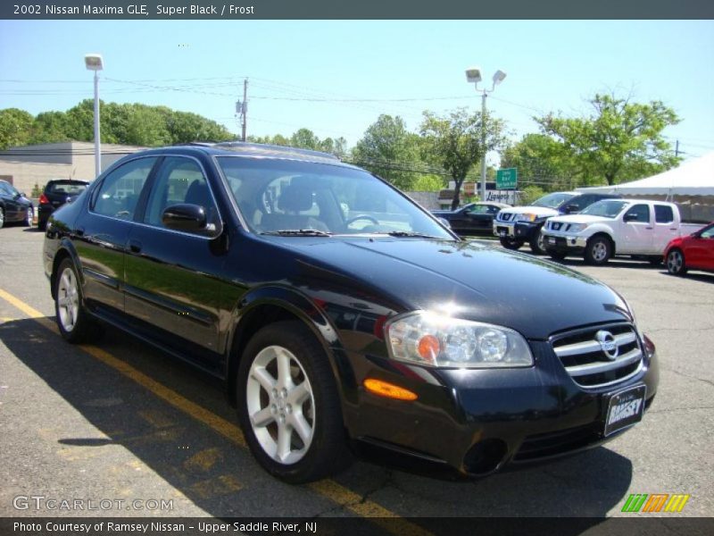 Super Black / Frost 2002 Nissan Maxima GLE