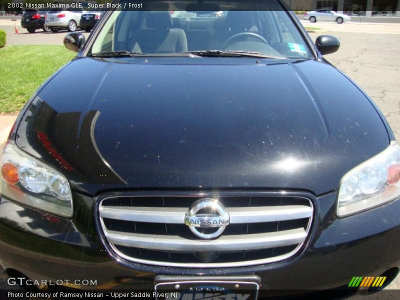 Super Black / Frost 2002 Nissan Maxima GLE