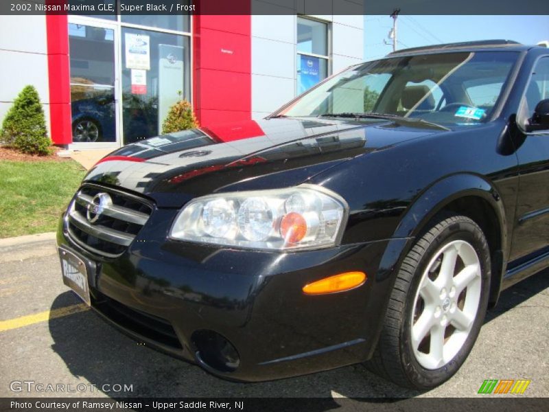Super Black / Frost 2002 Nissan Maxima GLE