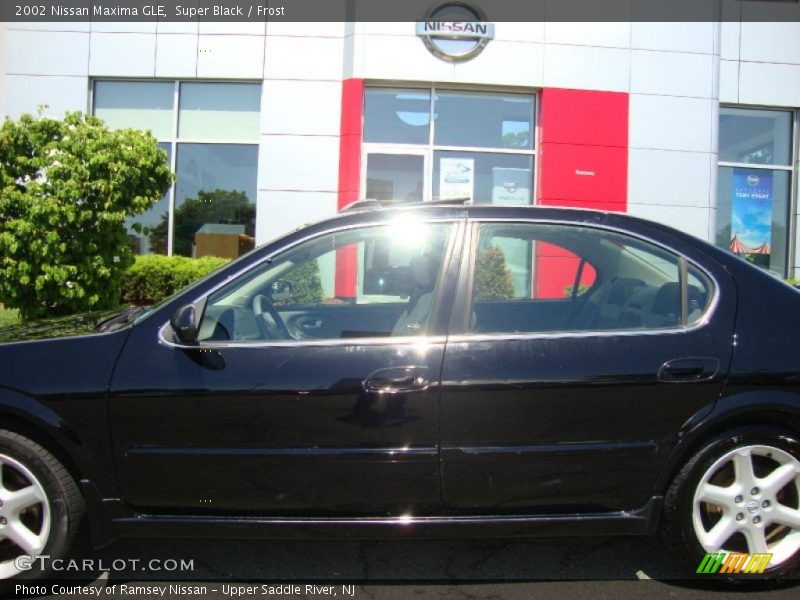 Super Black / Frost 2002 Nissan Maxima GLE