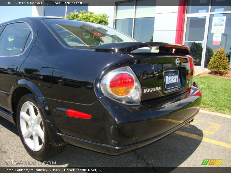 Super Black / Frost 2002 Nissan Maxima GLE