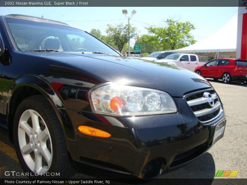 Super Black / Frost 2002 Nissan Maxima GLE