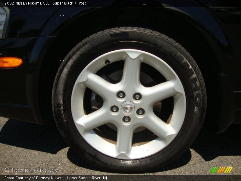 Super Black / Frost 2002 Nissan Maxima GLE