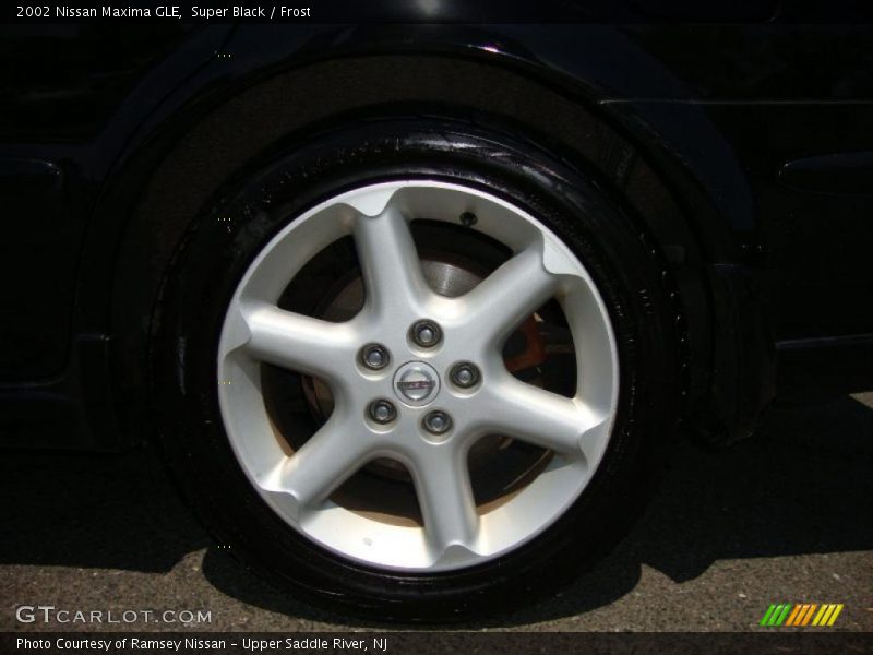 Super Black / Frost 2002 Nissan Maxima GLE