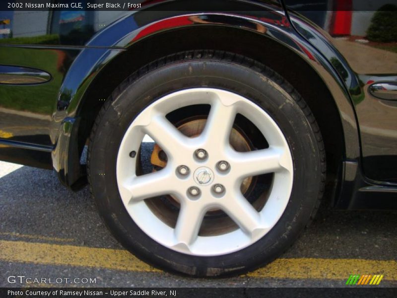 Super Black / Frost 2002 Nissan Maxima GLE