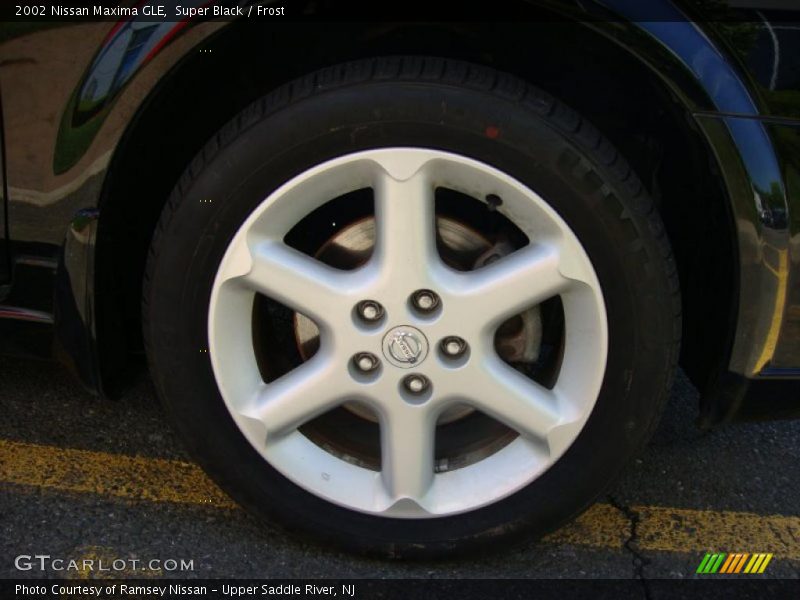 Super Black / Frost 2002 Nissan Maxima GLE