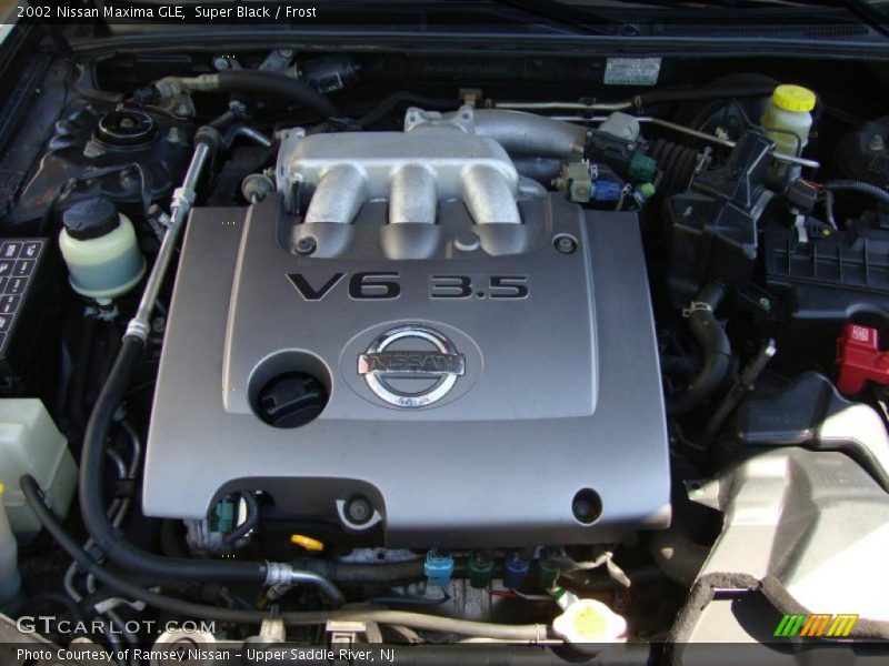 Super Black / Frost 2002 Nissan Maxima GLE